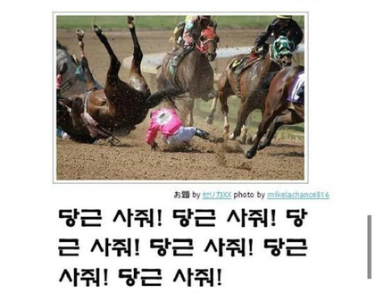 포스트의 이미지