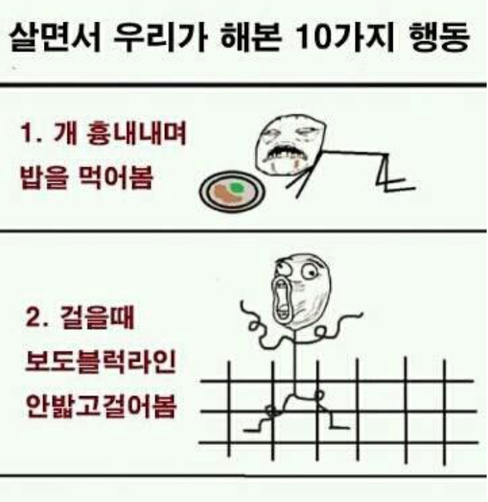 포스트의 이미지