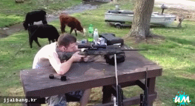 포스트의 이미지