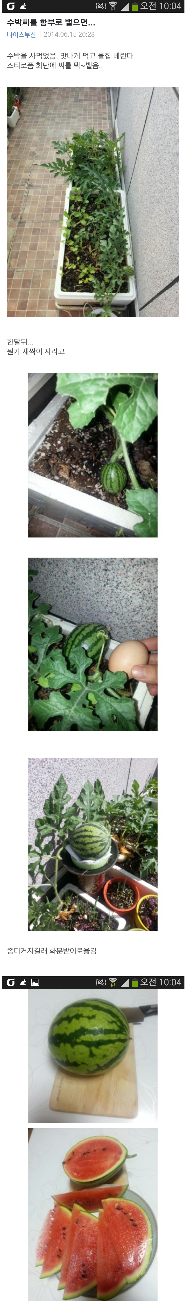 포스트의 이미지