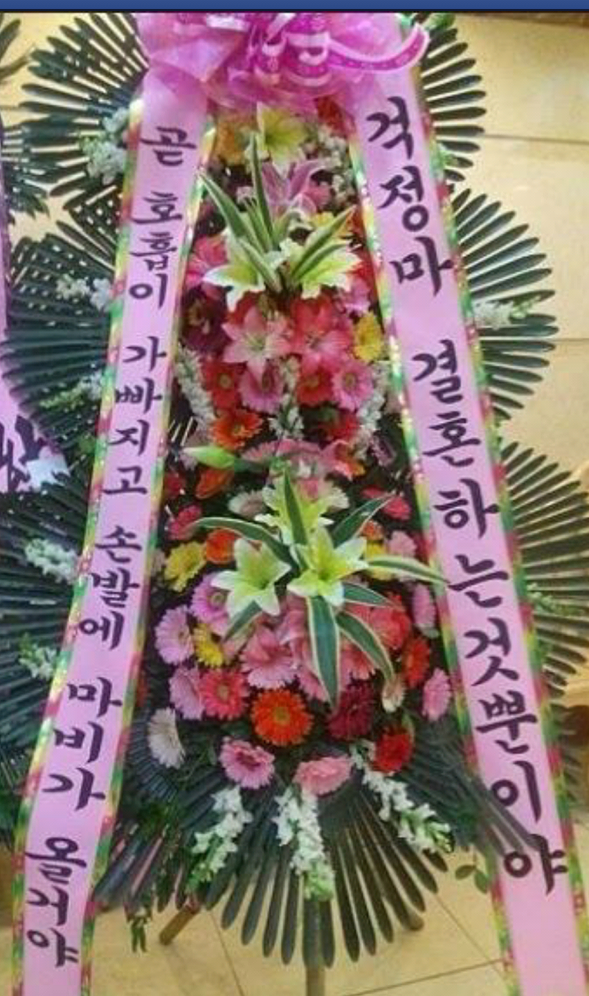 포스트의 이미지