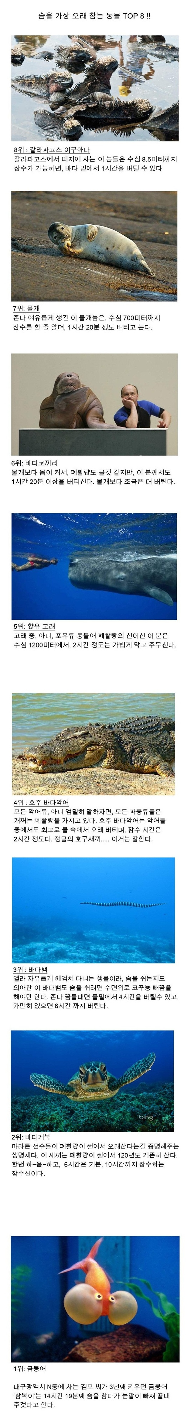 포스트의 이미지