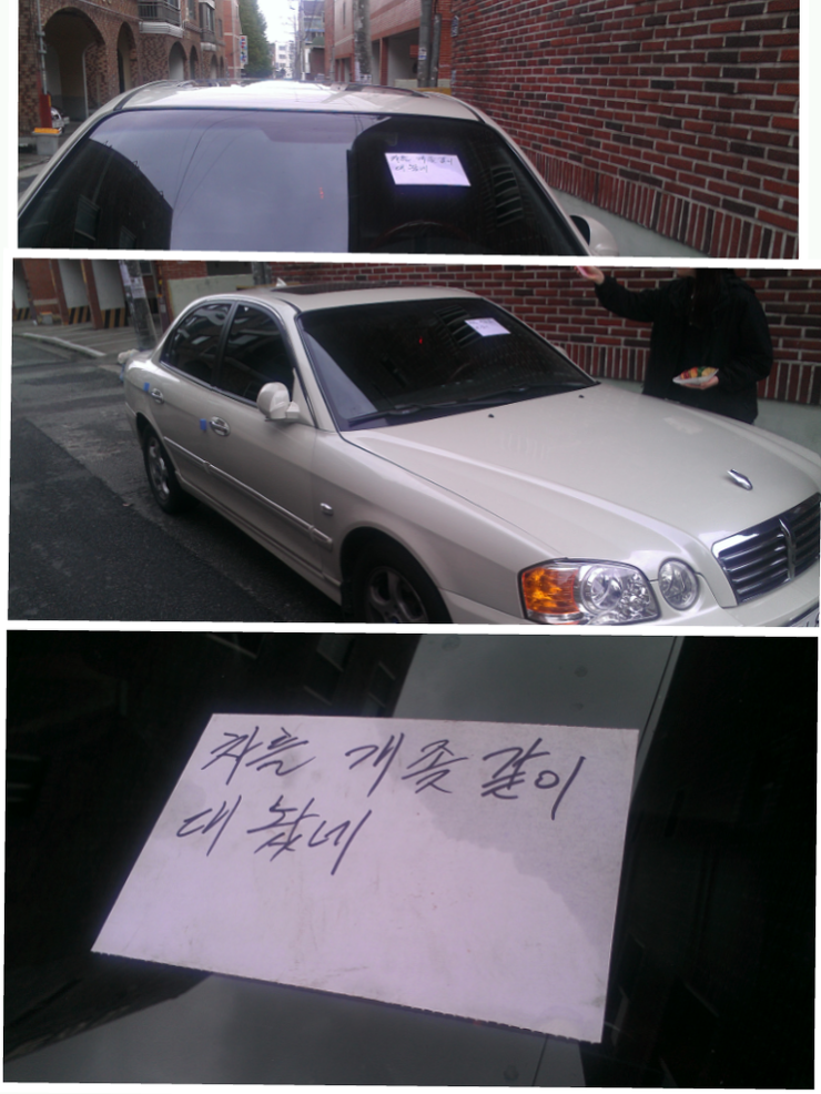 포스트의 이미지