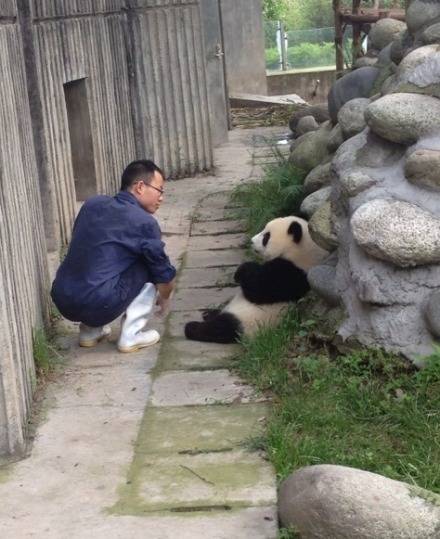 포스트의 이미지