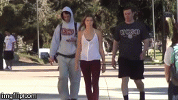 포스트의 이미지