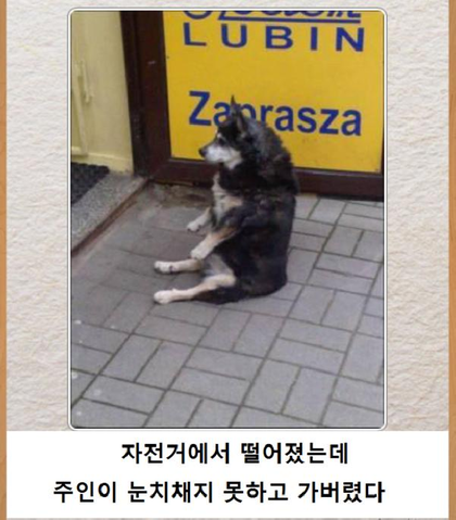 포스트의 이미지