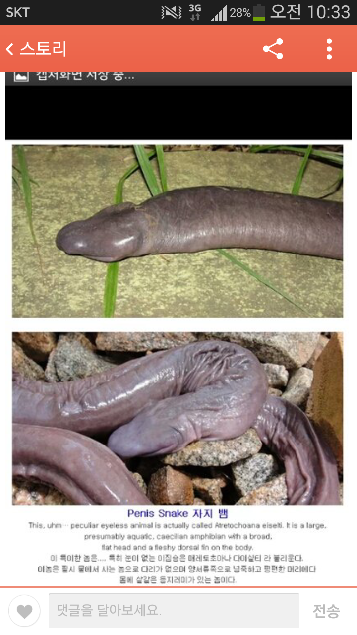 포스트의 이미지