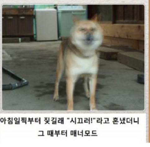 포스트의 이미지