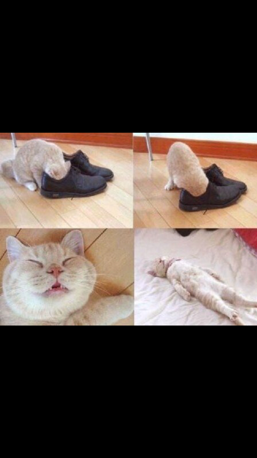 포스트의 이미지