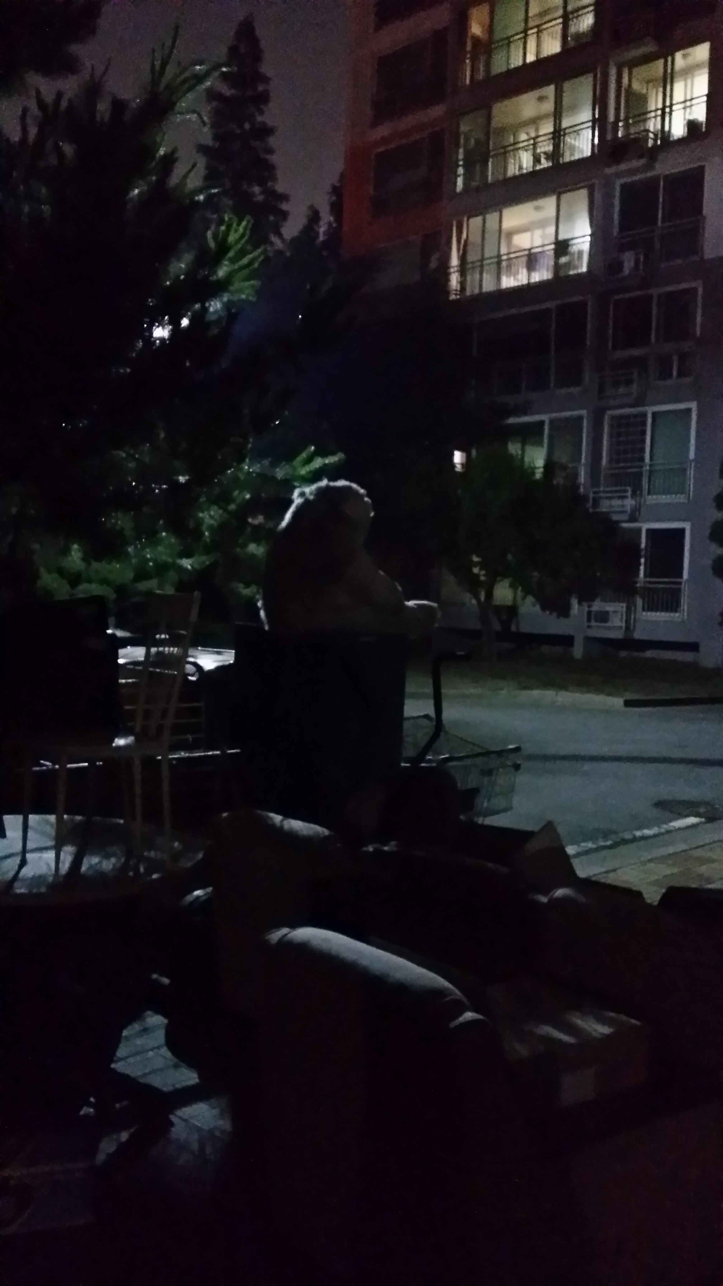 포스트의 이미지