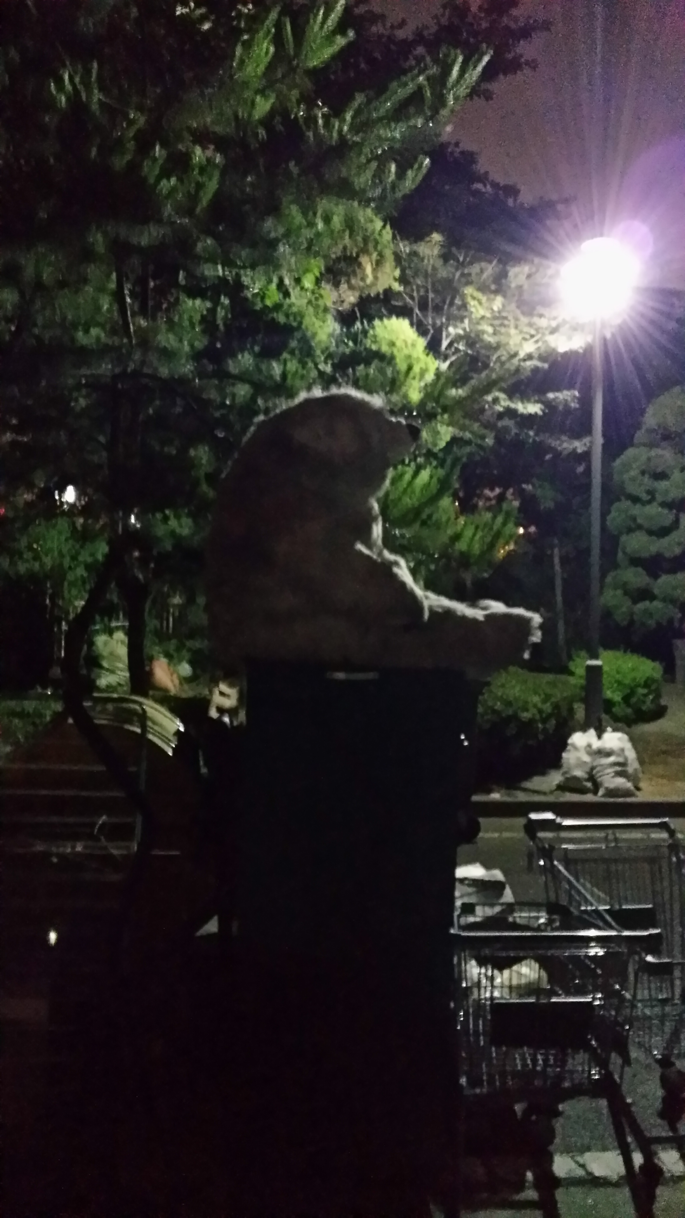 포스트의 이미지