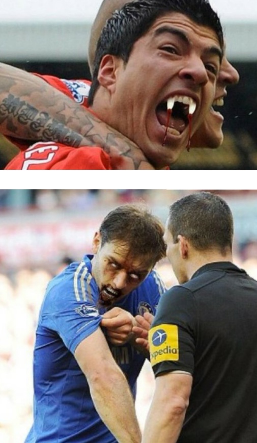 포스트의 이미지