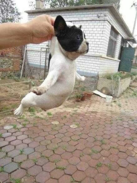 포스트의 이미지