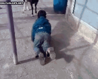 포스트의 이미지