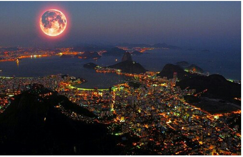 포스트의 이미지