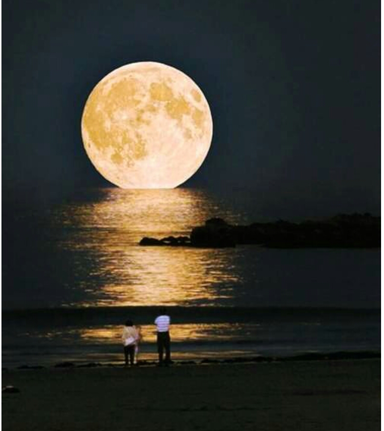 포스트의 이미지