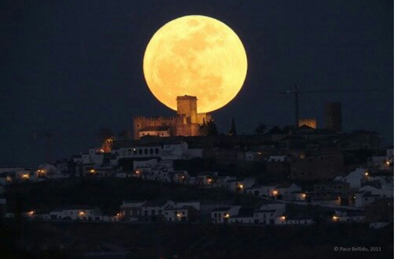 포스트의 이미지