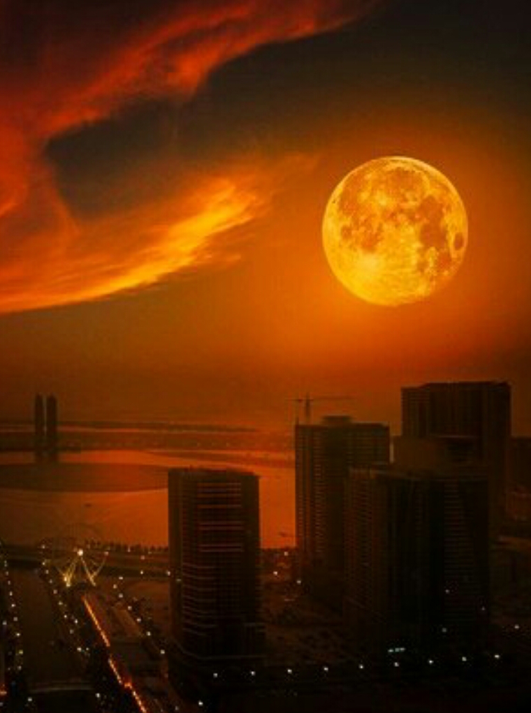 포스트의 이미지