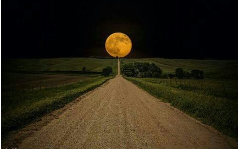 포스트의 이미지