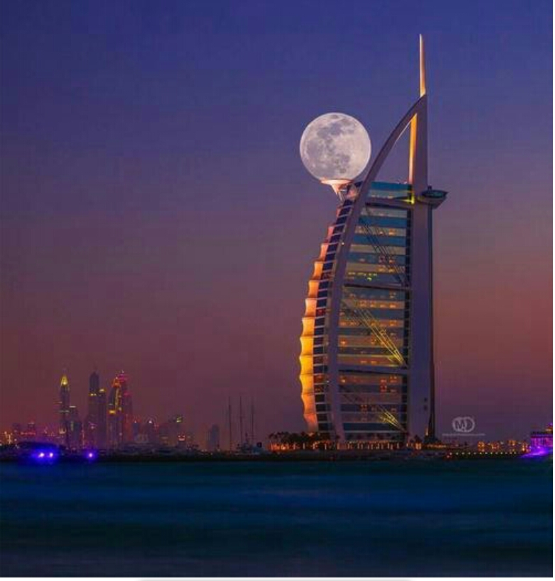 포스트의 이미지