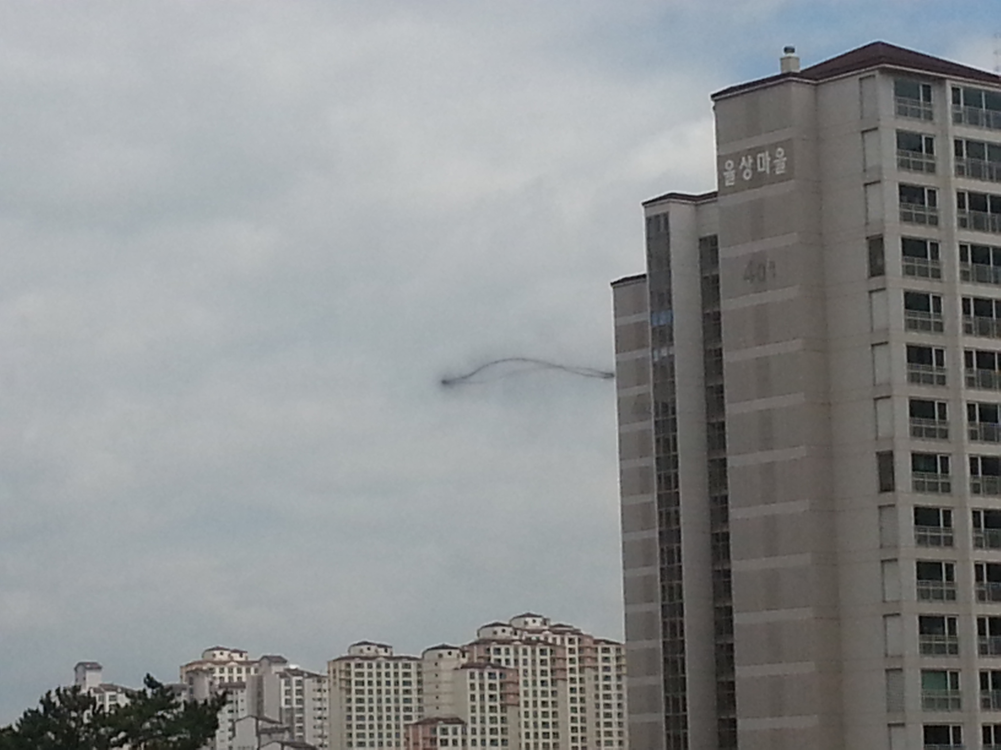 포스트의 이미지