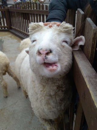 포스트의 이미지