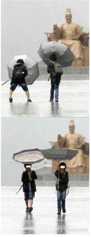 포스트의 이미지