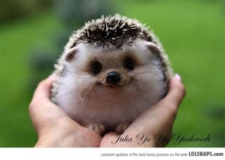 포스트의 이미지