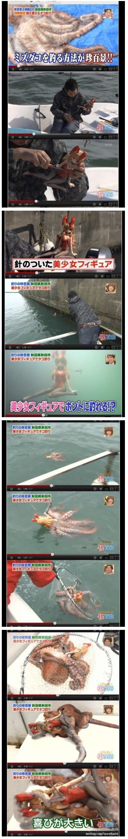 포스트의 이미지