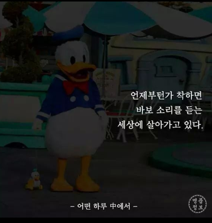 포스트의 이미지