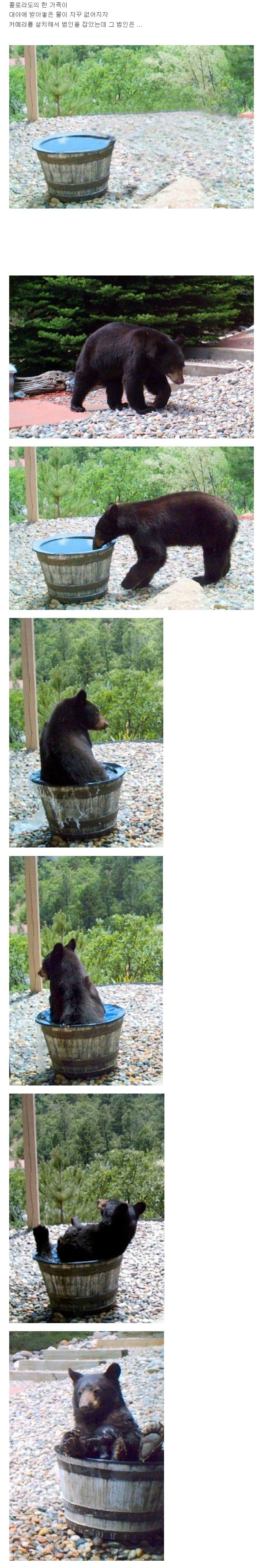 포스트의 이미지