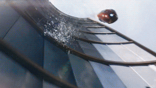 포스트의 이미지