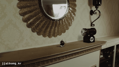 포스트의 이미지