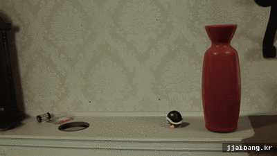 포스트의 이미지