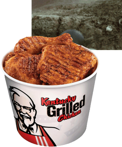 포스트의 이미지