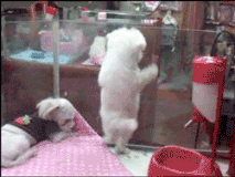 포스트의 이미지