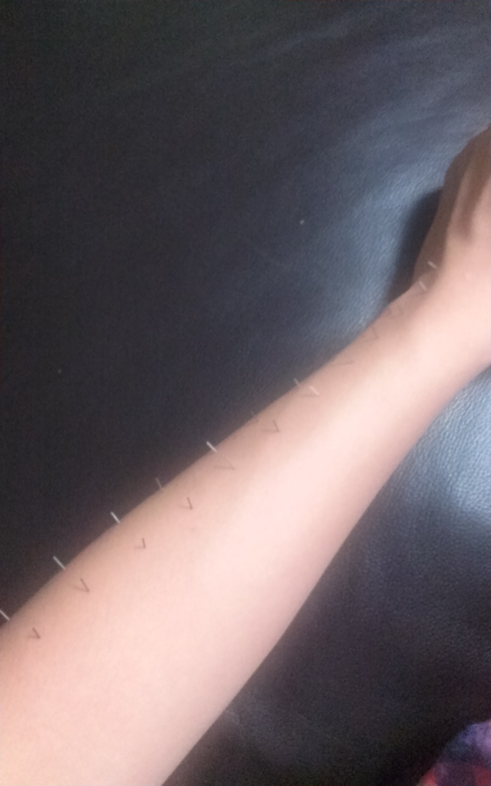 포스트의 이미지