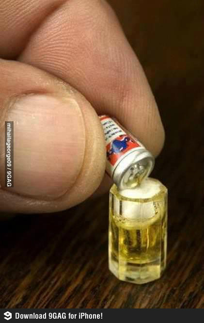 포스트의 이미지