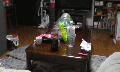 포스트의 이미지