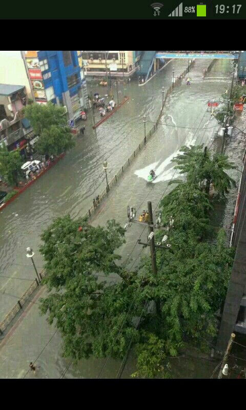 포스트의 이미지