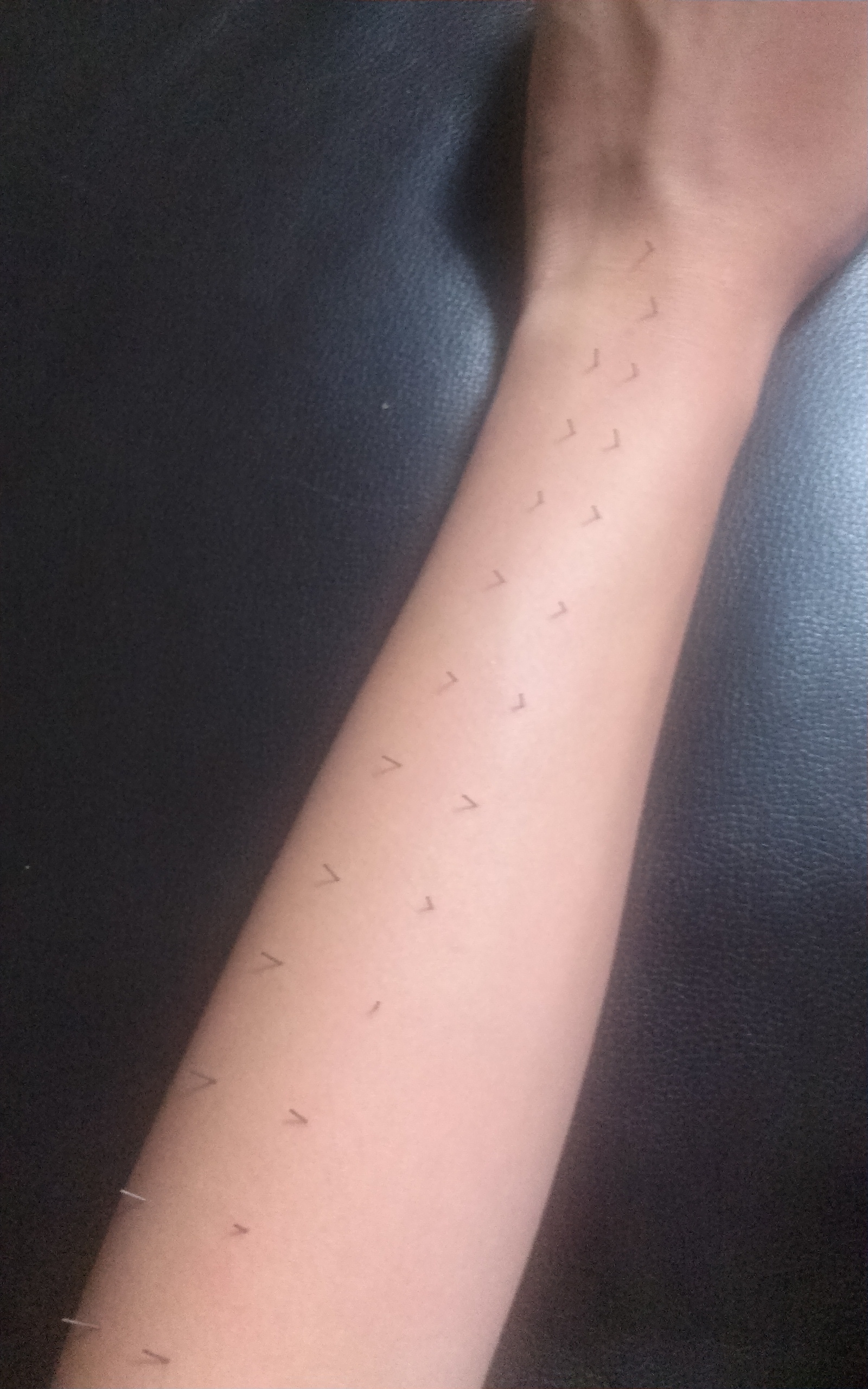 포스트의 이미지