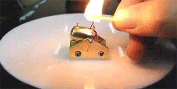 포스트의 이미지