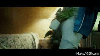 포스트의 이미지