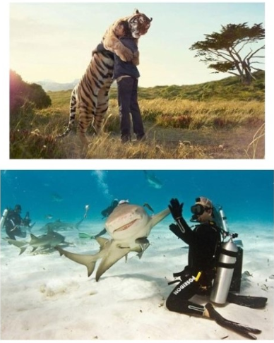 포스트의 이미지