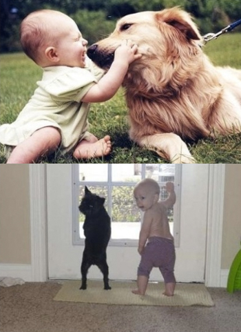 포스트의 이미지