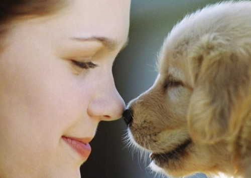 포스트의 이미지