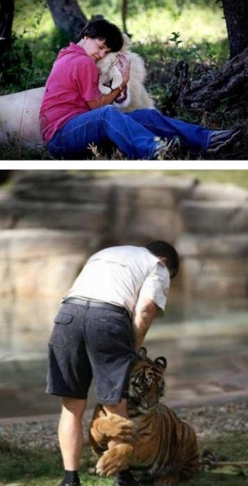 포스트의 이미지