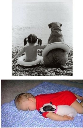 포스트의 이미지