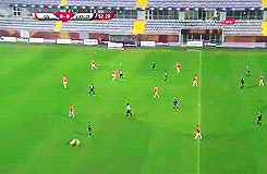 포스트의 이미지