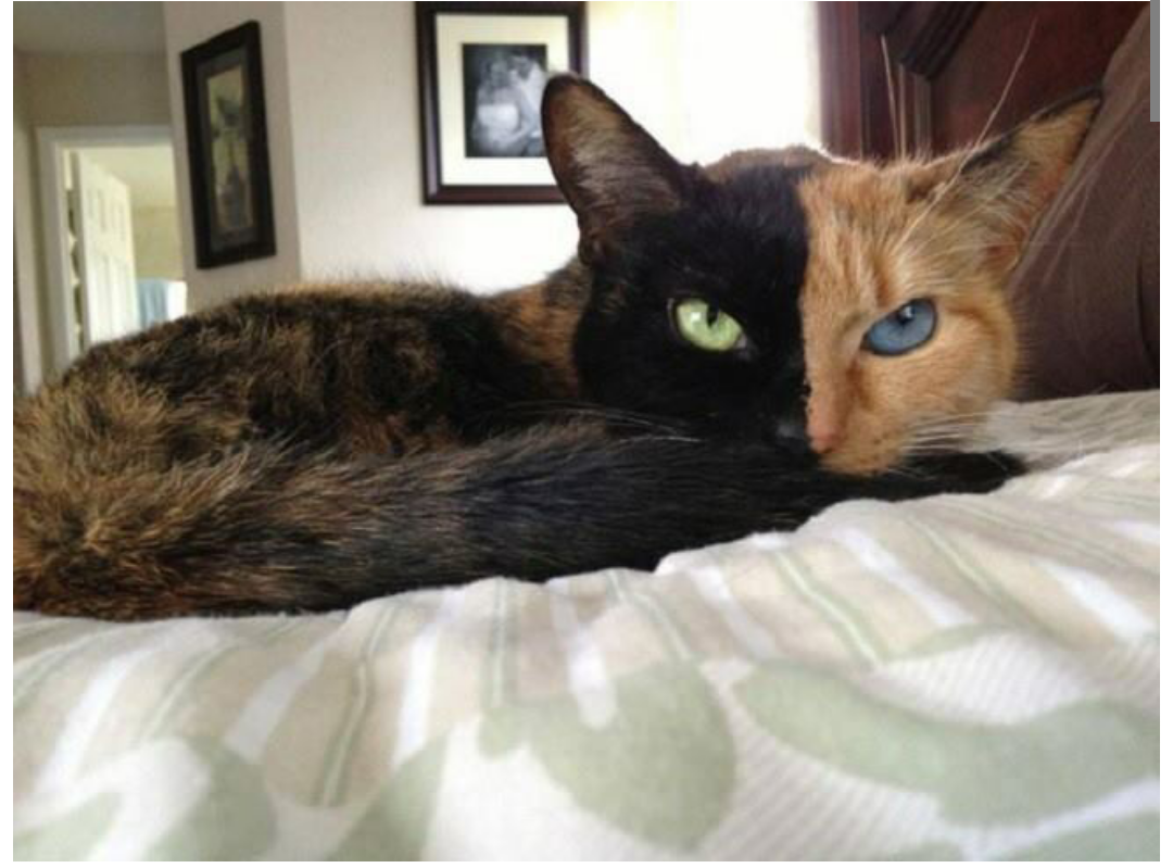 포스트의 이미지